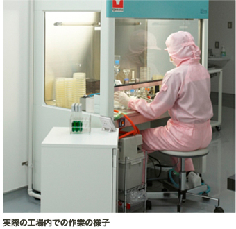 実際の工場内での作業の様子